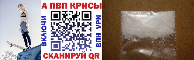 A PVP СК  Славгород 