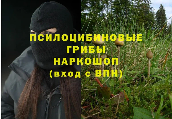стаф Покров