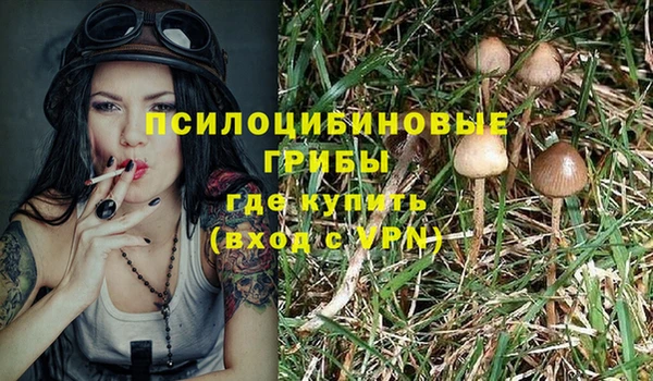 гидропоника Балабаново